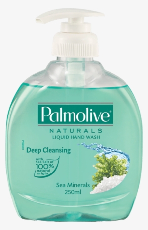 Buy Palmolive Natural Deep Cleansing Hand Wash Online - Hand Wash Liquid Price