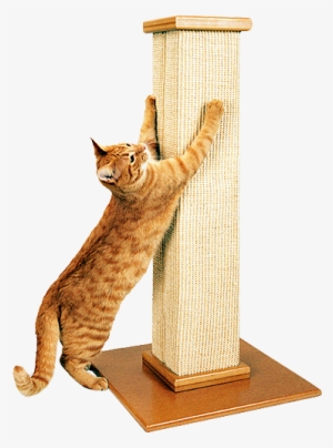The Ultimate Scratching Post - Cat Scratching Post Australia