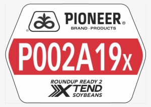 p002a19x - pioneer hi bred