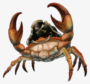 Mr-crabs - Hero Crab