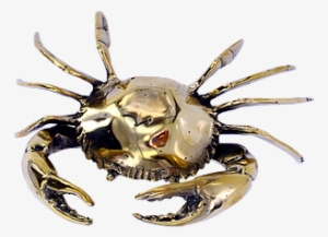 Mr Pinchy Brass Sea Crab - Crab