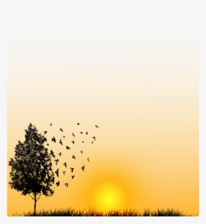 Filter[filter] Sunset - Flock