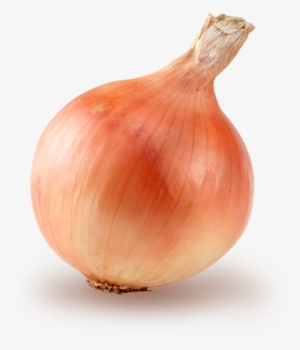 玉ねぎ - - 野菜 玉ねぎ