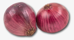 Australia Red Onion - Red Onion