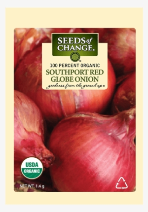 Organic Southport Red Globe Onion Seeds - Usda Organic