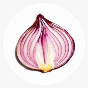19 Sep - Half Onion
