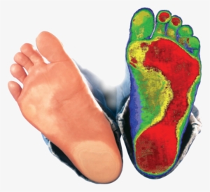Neutral Foot - Toe