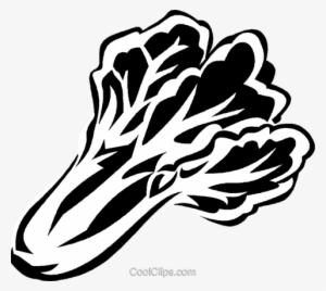 Bok Choy Royalty Free Vector Clip Art Illustration - Bok Choy Clipart Black And White