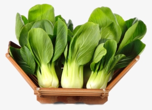 Keep Bok Choy Unwashed Until Ready To Use - Bok Choy