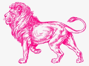 Pink Lion Clip Art - Full Body Lion Sketch