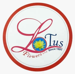 Lotus Flowers - Sacred Lotus