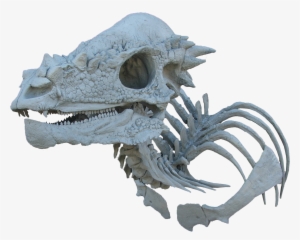 Unpainted Pachycephalosaur Skull And Skeleton Bust - Pachycephalosaurus Skeleton