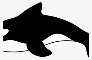 Cartoon Whale - Whale Clip Art