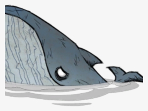 Cartoon Whale Png - Blue Whale