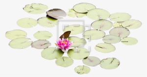 Lily Pads With One Rose - Artificial Flower