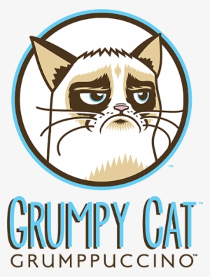 Gato Que Ficou Famoso Na Internet Vai Virar Caf233 - Grumpy Cat Cafe