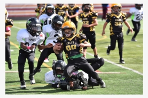 2017 Homecoming Peewee Football