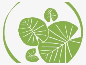 Lily Pad - Lily Pad Logo