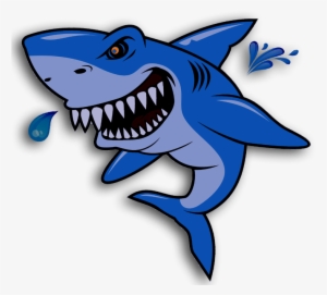From Beginners To National Champions, Our Sharks Strive