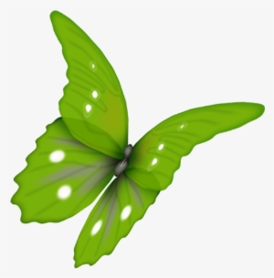 Papillon Vert Fond Transparent