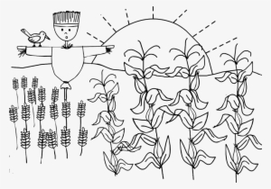 Viewing Gallery For Corn Stalk Coloring Pages 127743 - Corn Field Coloring Page