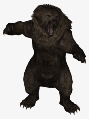 Ls Model Bear - Skyrim Bear
