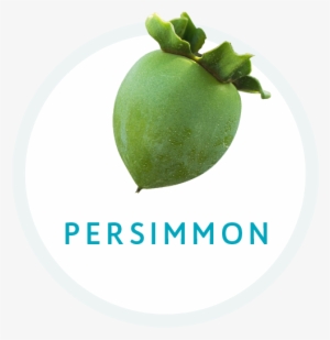 Persimmon - Seedless Fruit