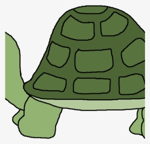 Turtles Clipart Hd Png