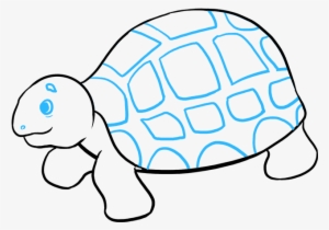 How To Draw Sea Turtle - Sea Turtle