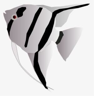 Download Open Angel Fish Svg Transparent Png 2000x2048 Free Download On Nicepng