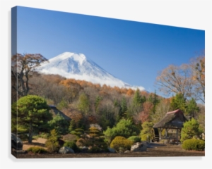 View Of Mount Fuji From A Japanese Garden