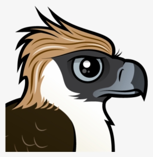 About The Philippine Eagle - Philippine Eagle Cartoon