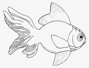 Fish Black White Line Art Coloring Book Colouring Svg - Fish Black And White Line Drawing