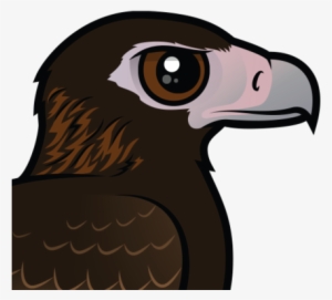 About The Wedge-tailed Eagle - Wedge Tailed Eagle Cartoon