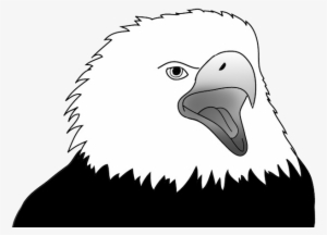 Eagle Screaming Sketch - Cartoon