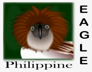 Big Image - Philippine Eagle In A Flag