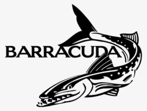 Barracuda Clipart Black And White - Barracuda Vector