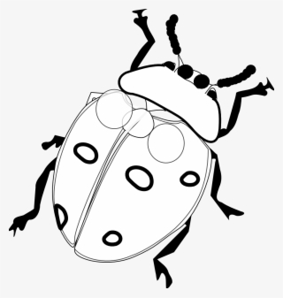 Ladybug 7 Black White Line Art Flower Drawing Scalable - Realistic Ladybug Coloring Page