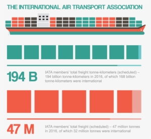 International Air Transport Association Infographic - Graphic Design