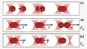 Illustration Of The Measurement Procedure Of The Red