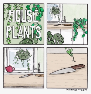House Plants False Knees