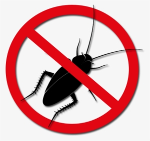 Cockroaches - Dedetização Barata