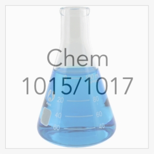 1015 - Glass Erlenmeyer Flask - 100ml