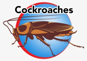 Cockroaches Blue Button - Vector Graphics