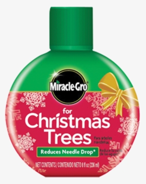 Miracle Gro Christmas Tree