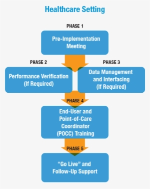 Istat Implementation Phases - Phases Of Team Implementation