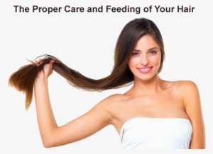 Properly Caring For And Feeding Your Hair Will Prevent - Rapunzel Coconut Oil For Hair Growth. Also Contains