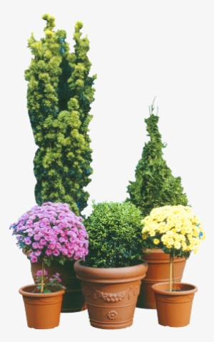 potted flowers and plants - flowerpot