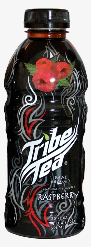 Tribe Tea Raspberry - Tribe Tea Green Ginseng And Honey 20 Ounce (24 Bottles)