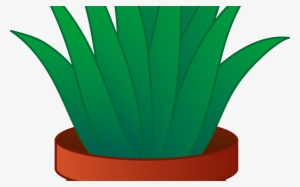 31 Great Indoor Potted Plant - Aloe Vera Plant Clipart